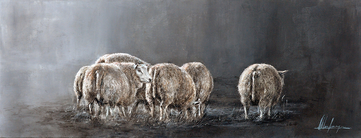 Annabelle Lanfermeijer + Kudde schapen